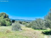 Finca Rústica Reformada Son Binissalom San Jordi