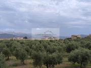 FINCA RUSTICA URBANIZABLE EN VENTA SA POBLA