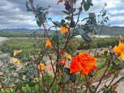Finca rústica Venta Águilas, Las Majadas Las Molinetas...