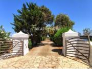 Finca rústica Venta Alaior, Alaior