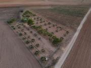 Finca Rústica Venta Albacete