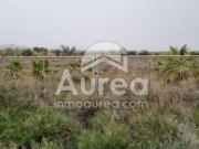 Finca rústica Venta Alicante Alacant, La Canyada del...