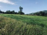 Finca Rústica Venta Asturias