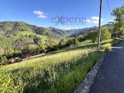 Finca Rústica Venta Asturias