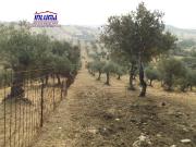 Finca Rústica Venta Badajoz
