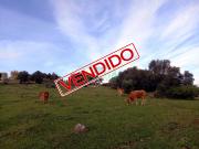 Finca Rústica Venta Badajoz