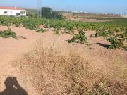 Finca Rústica Venta Badajoz