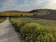 Finca Rústica Venta Cádiz