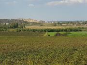 Finca Rústica Venta Cádiz