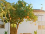 Finca rústica Venta Cártama, Estación de Cártama