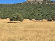 Finca Rústica Venta Ciudad Real