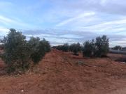 Finca Rústica Venta Ciudad Real