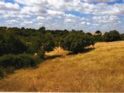 Finca Rústica Venta Ciudad Real