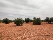 Finca Rústica Venta Ciudad Real