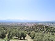 Finca Rústica Venta Granada