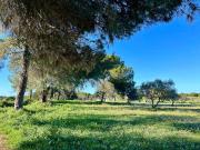 Finca Rústica Venta Huelva