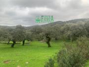 Finca Rústica Venta Huelva