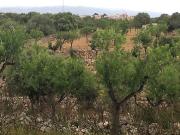 Finca Rústica Venta Islas Baleares