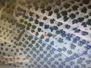 Finca Rústica Venta Jaén