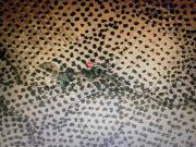 Finca Rústica Venta Jaén