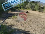 Finca Rústica Venta Málaga