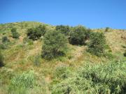 Finca Rústica Venta Málaga