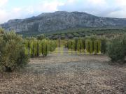 Finca Rústica Venta Málaga