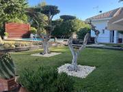 Finca Rústica Venta Sevilla