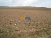 Finca Rústica Venta Sevilla