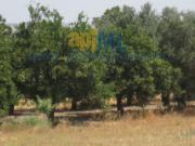 Finca Rústica Venta Sevilla