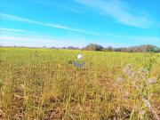 Finca Rústica Venta Sevilla