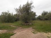 Finca Rústica Venta Tarragona