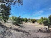 Finca Rústica Venta Tarragona