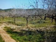 Finca Rústica Venta Tarragona