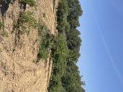 Finca Rústica Venta Tarragona