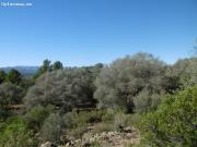 FINCA RUSTICA ZONA TRANQUILA CON EXCELENTES VISTAS