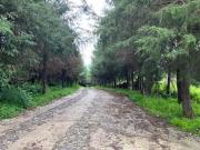 FINCA SAN ANDRES