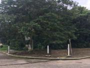 FINCA SANTA FE, TERRENO, VENTA, COATEPEC. VERACRUZ