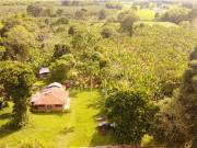 Finca semi plana 2.5 km de la via Armenia Montenegro 5...