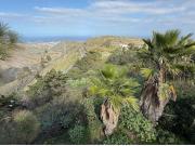 Finca señorial con bodega y gran potencial en Telde –...