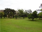 finca, terreno en venta Rionegro Antioquia Llanogrande
