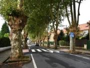 FINCA URBANA EN CAMBRE DOS PARCELAS