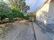 Finca urbana en Valverde, Elche Finca urbana en Valverde, Elche