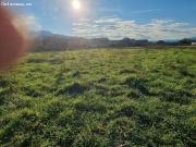 FINCA URBANA FLORES DEL SIL