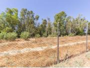 Finca urbanizable a 2 minutos del centro de El Puerto