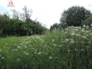 FINCA URBANIZABLE PRÓXIMA A BÓVEDA