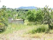 FINCA VALLADA CON CASETA Y ALJIBE