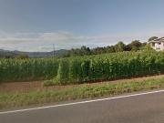 Finca Venta Asturias