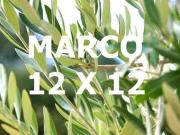 Finca Venta Jaén