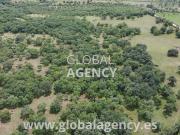 Finca y Bosque Ganaderos en Soto del Real, España